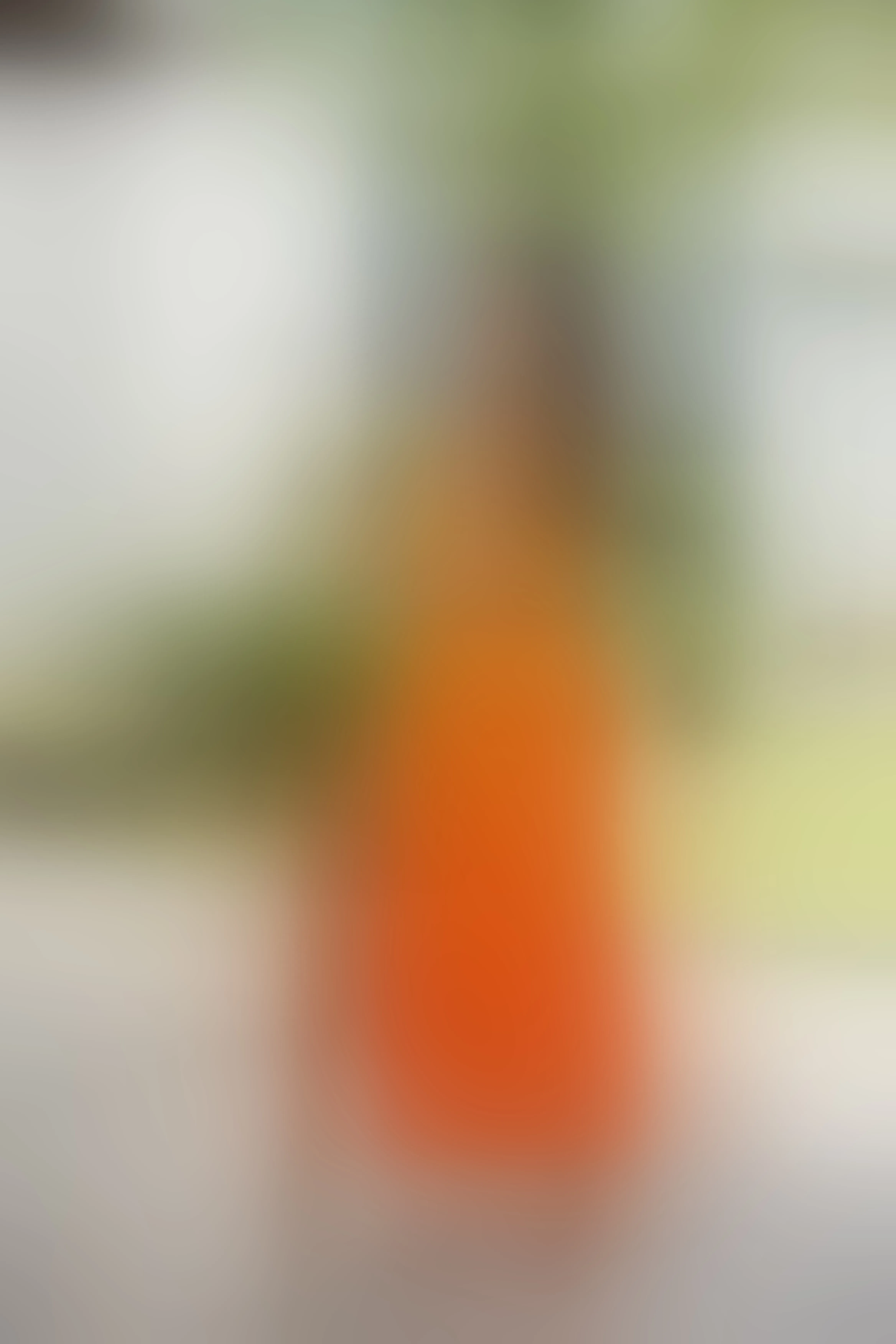 Live sex webcam photo for ZoeVillalobos #7997079