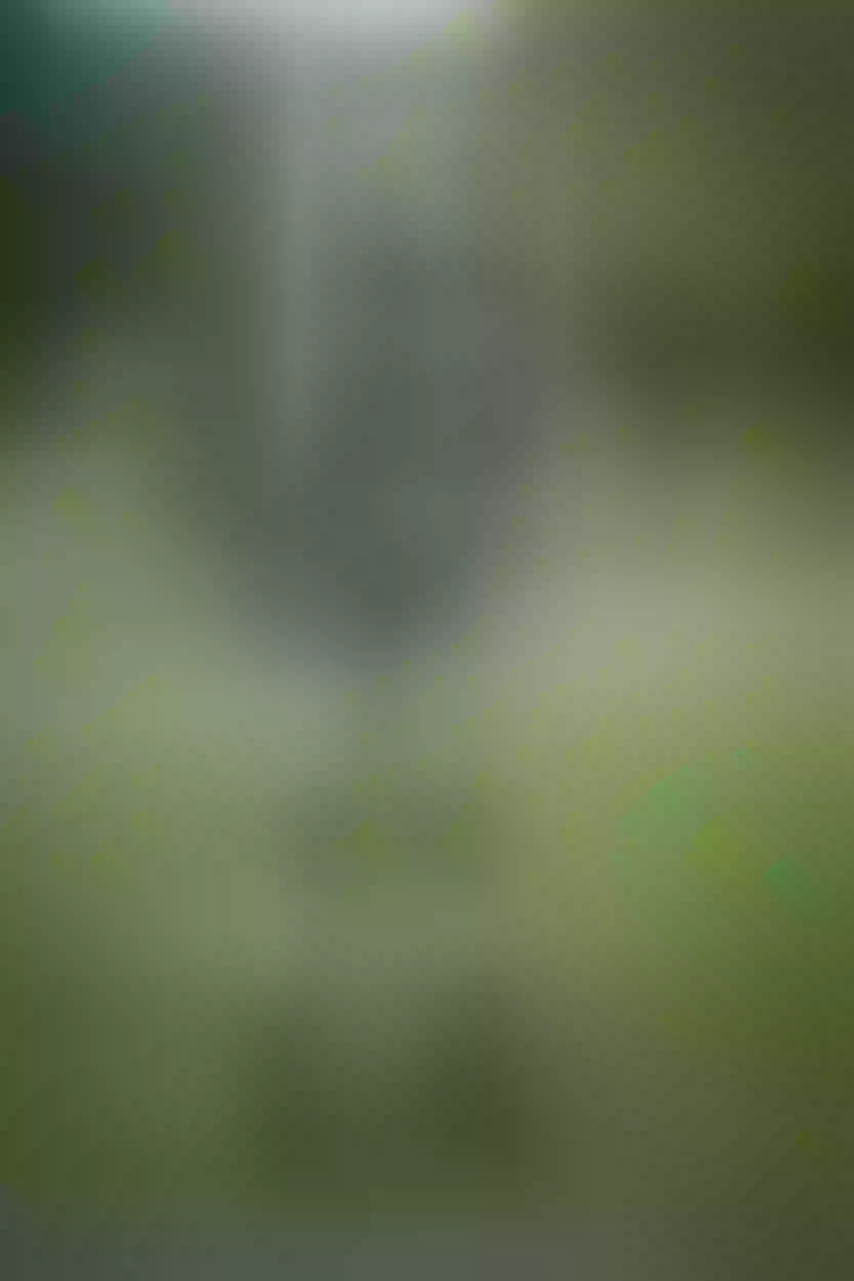 Live sex webcam photo for HilaryQueen #8039934