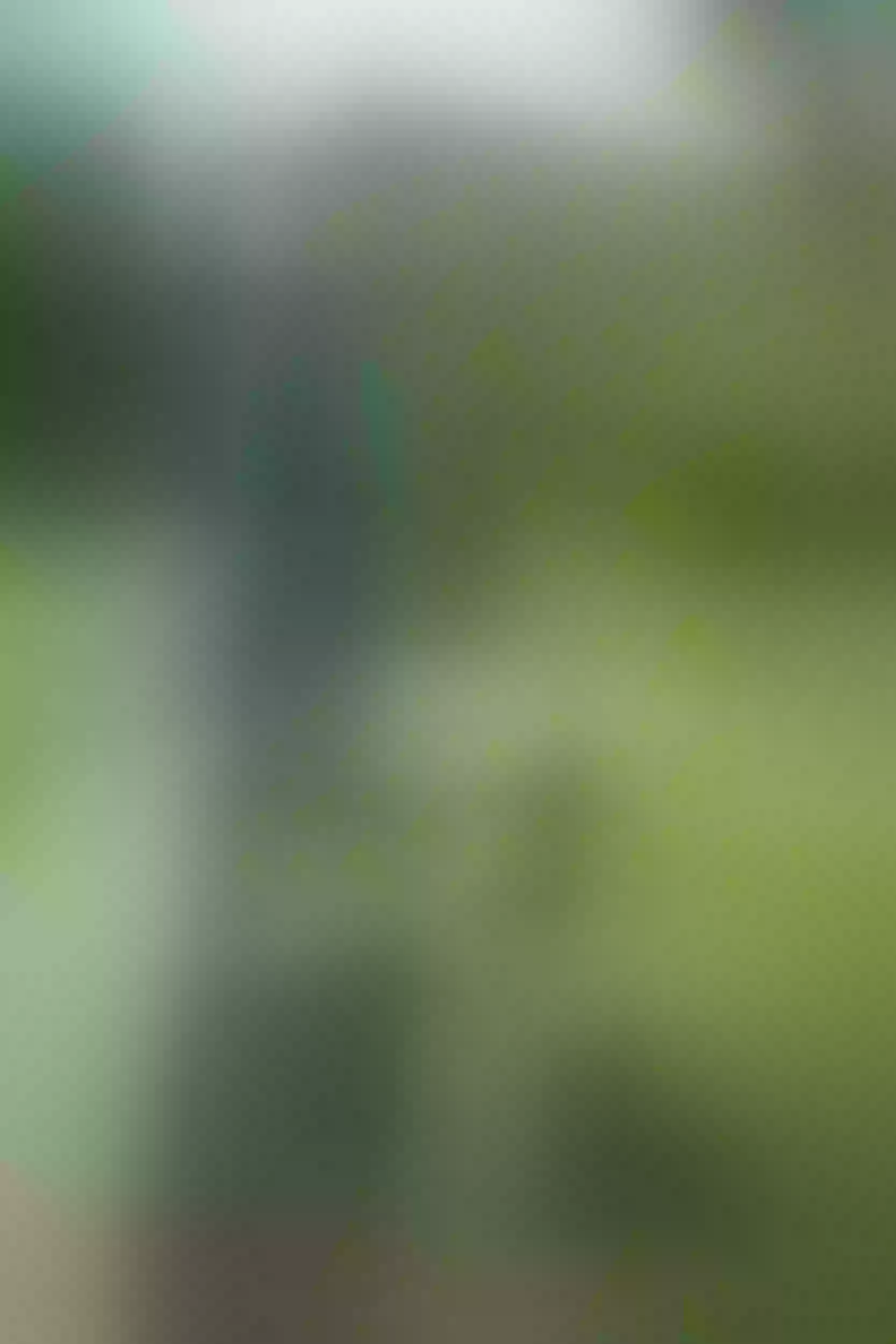 Live sex webcam photo for HilaryQueen #8039936