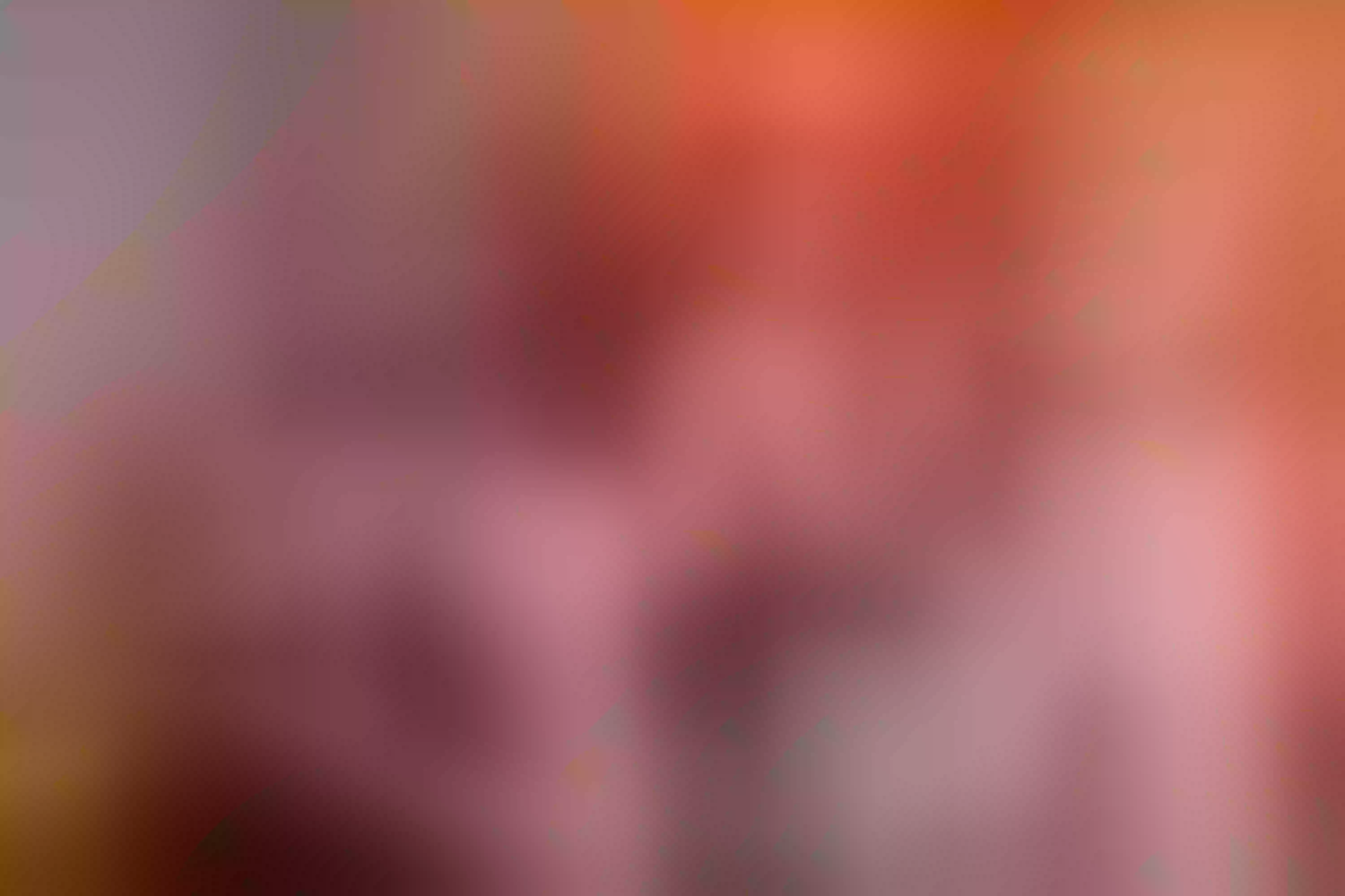 Live sex webcam photo for MiaCassel #8452860