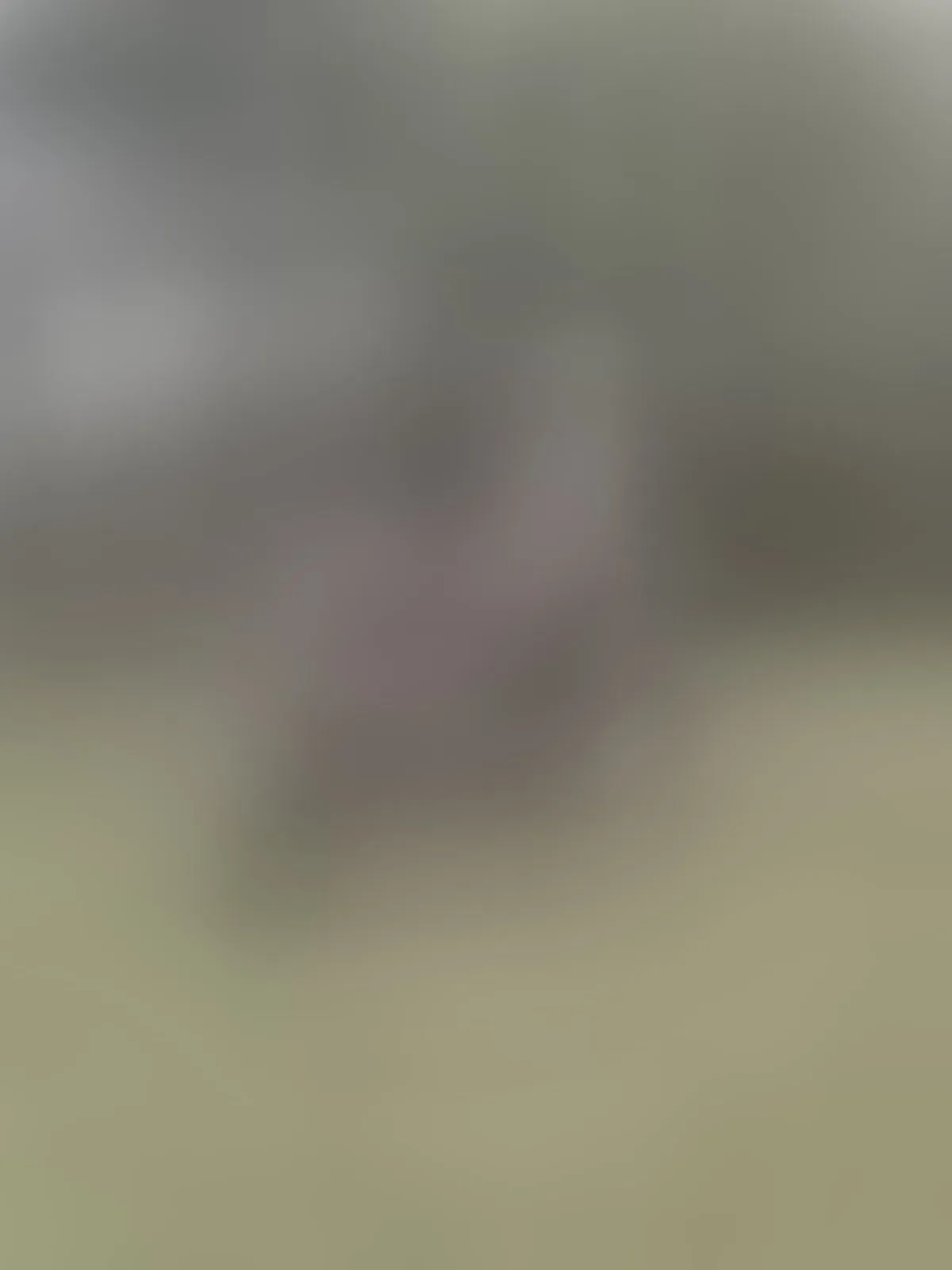 Live sex webcam photo for kazumiii #8280738