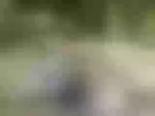 Live sex webcam photo for KatieVance #8375526