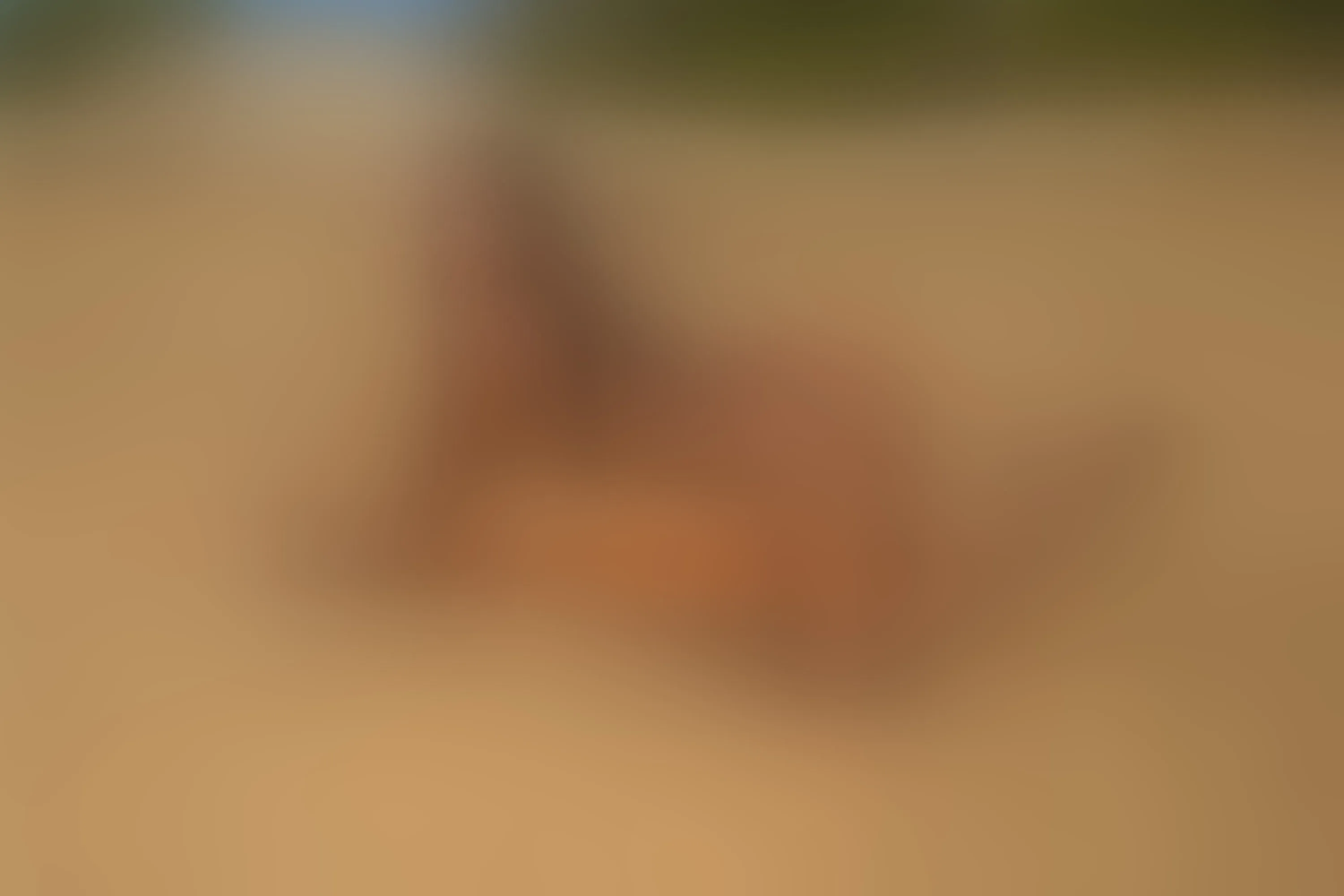 Live sex webcam photo for SamanthaPhillips #8194627