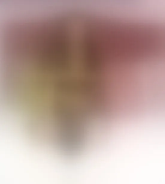 Live sex webcam photo for AdrianaaTorres #8253136