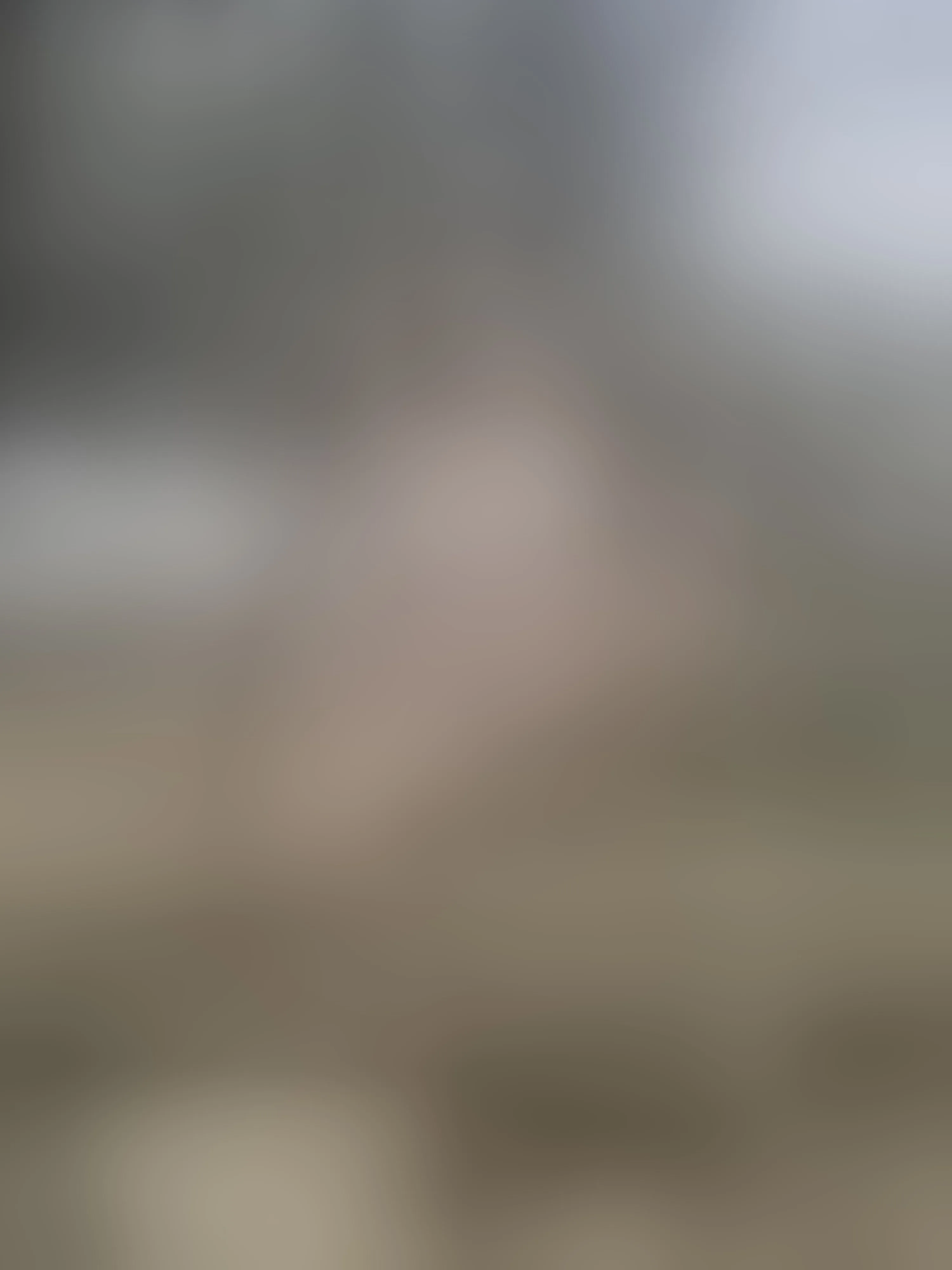 Live sex webcam photo for EnchantedForest #8316357