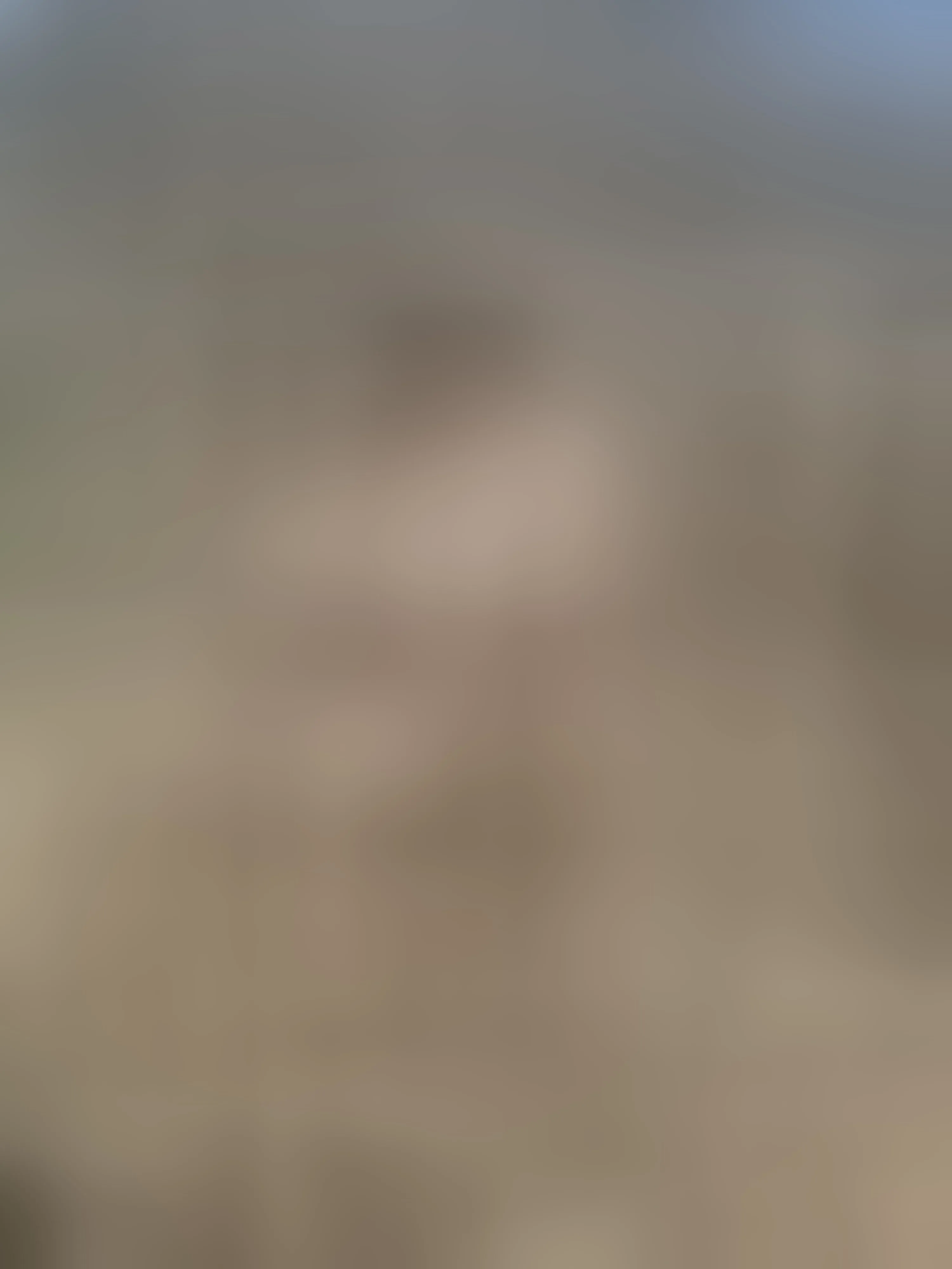 Live sex webcam photo for EnchantedForest #8316313