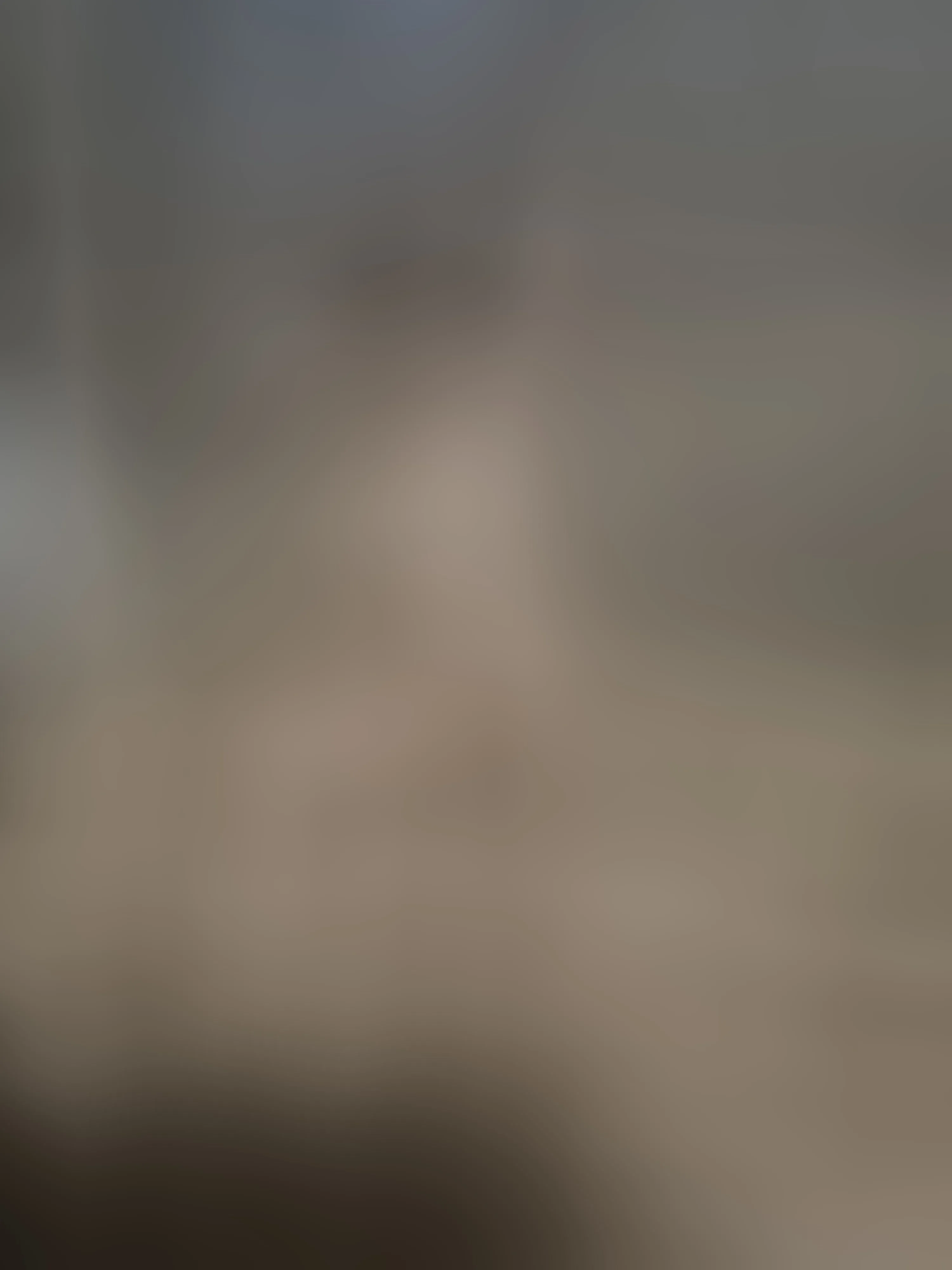 Live sex webcam photo for EnchantedForest #8316315