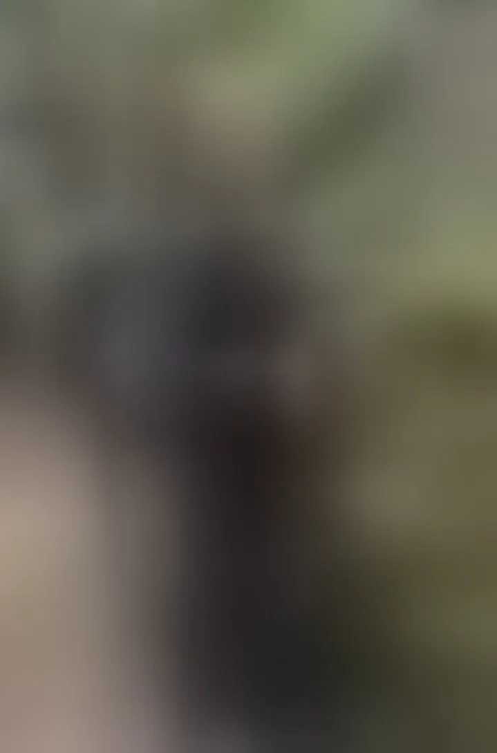 Live sex webcam photo for ValexieLux #8650694