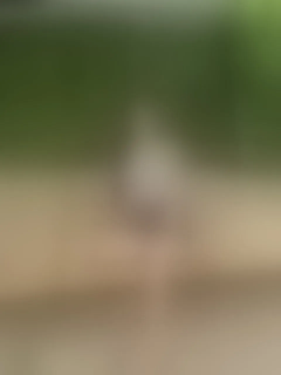Live sex webcam photo for KateSkinny #8297285