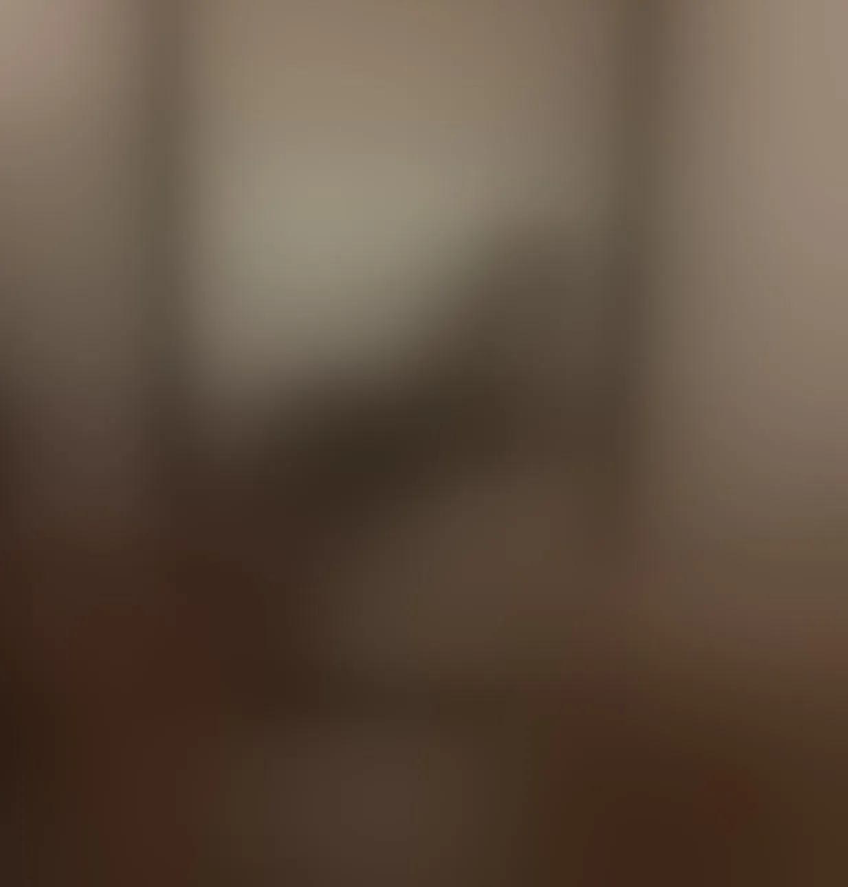 Live sex webcam photo for ThaliaColliins #8276337