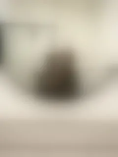 Live sex webcam photo for ChocolateMellons #8436090