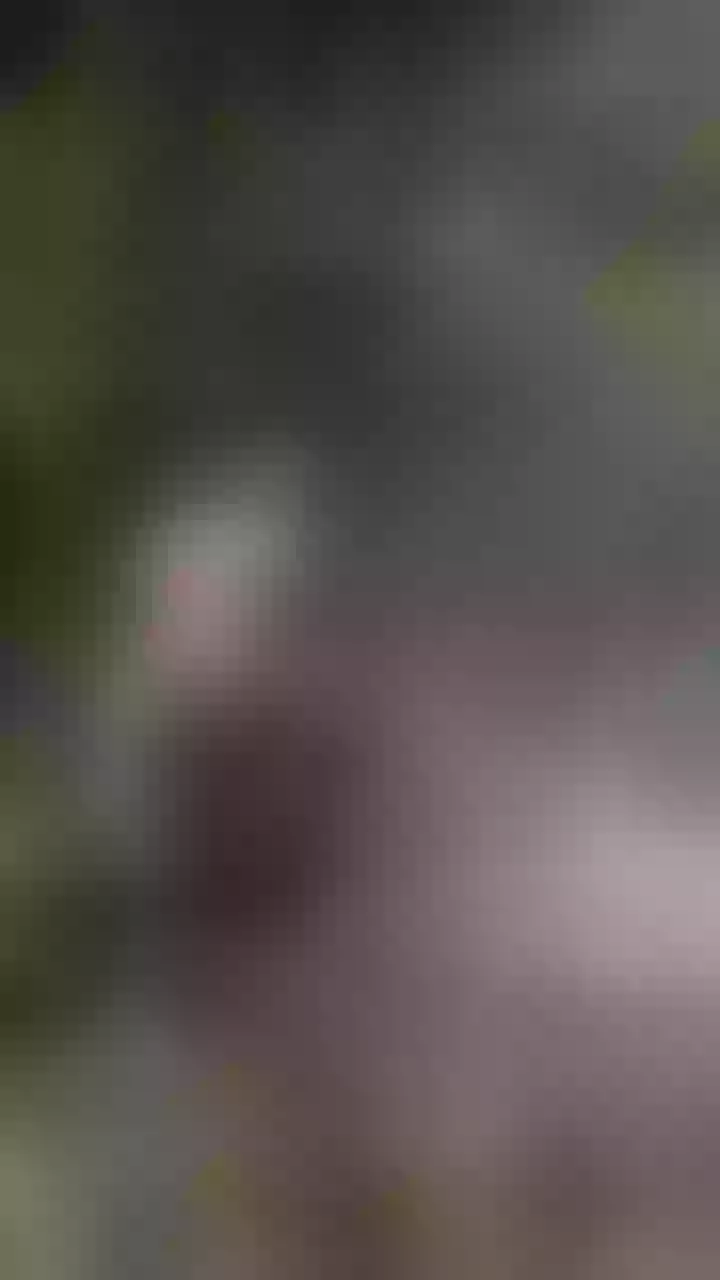 Live sex webcam photo for melanyharu303av #8190958