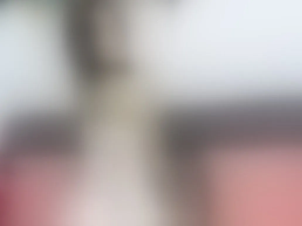 Live sex webcam photo for AbiigailTaylor #8223386