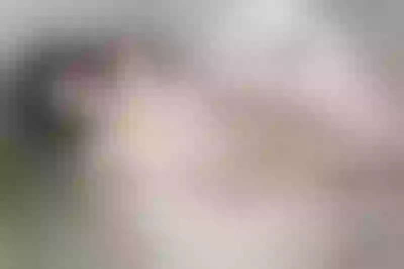 Live sex webcam photo for MiaAndrade #8265562