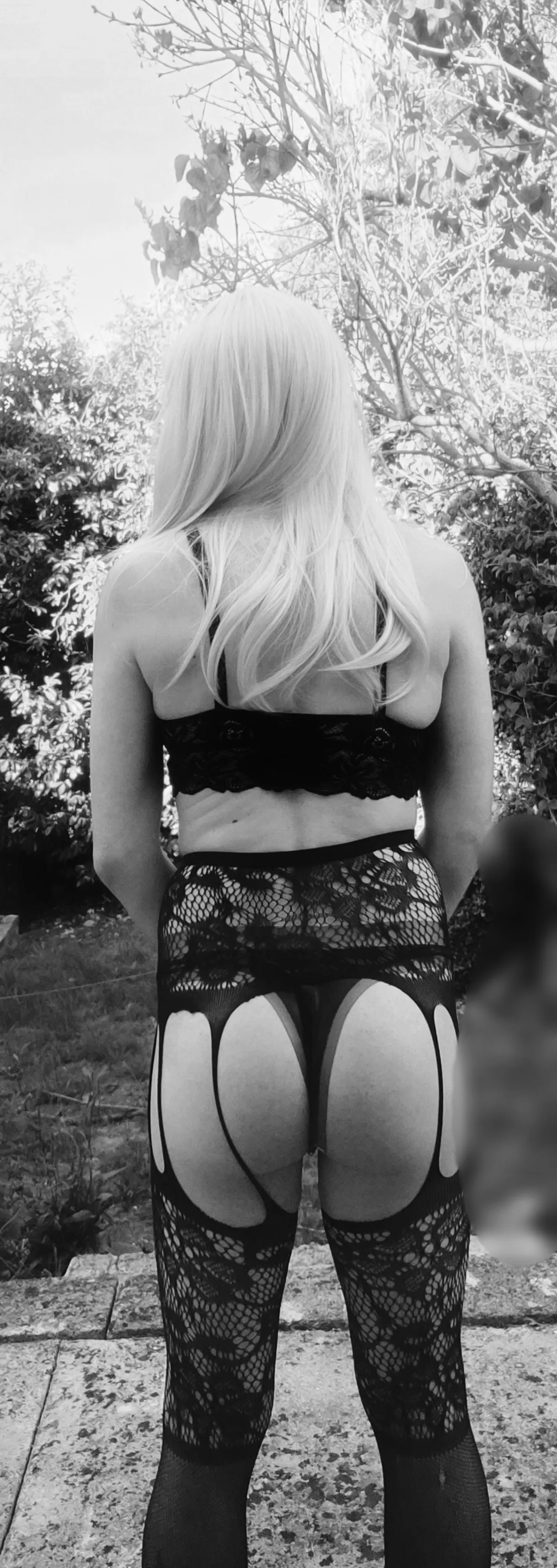 Live sex webcam photo for Blicious69 #8316933