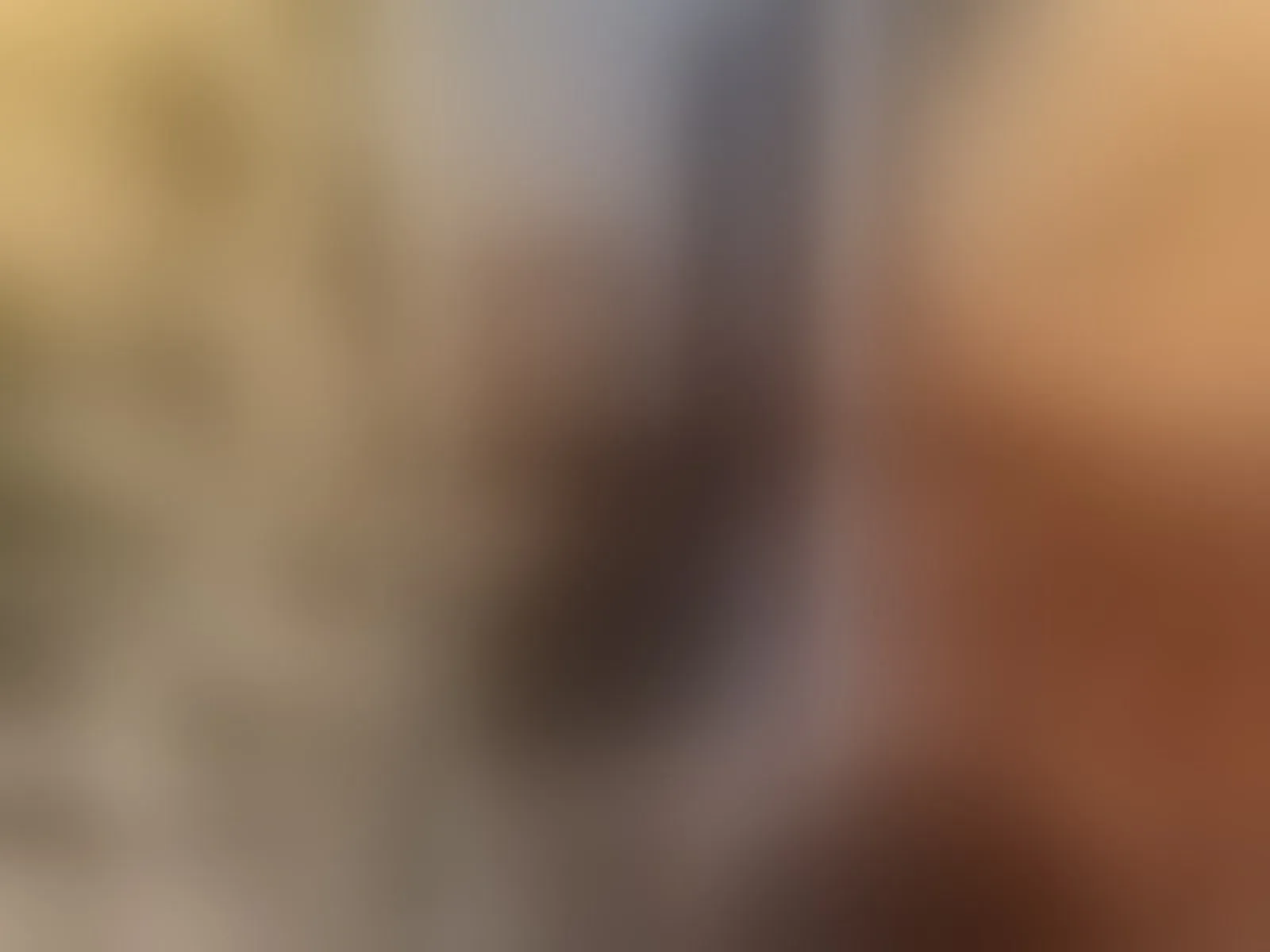 Live sex webcam photo for kittyyGang #8582308