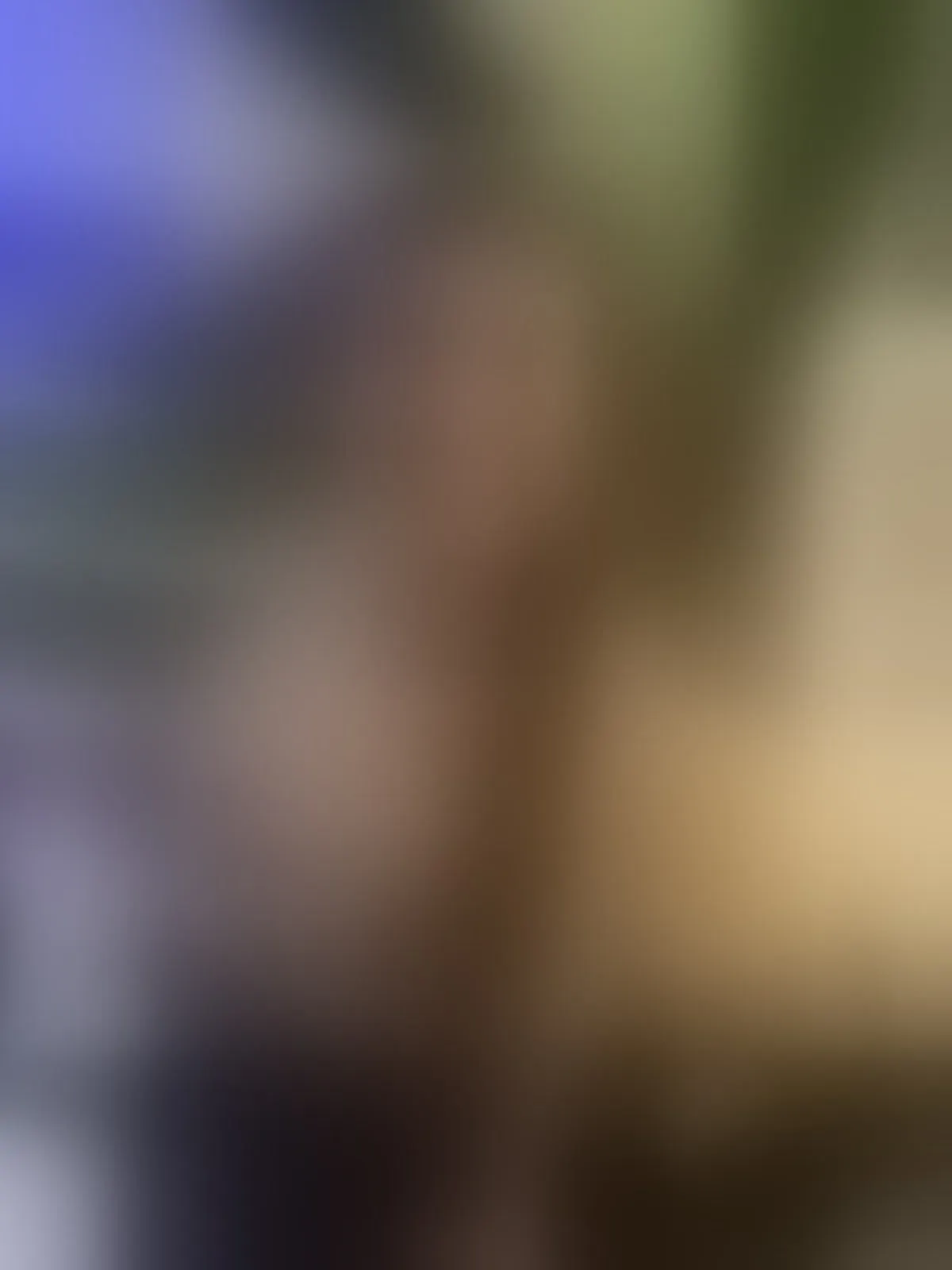 Live sex webcam photo for AnnaLoren #8483248