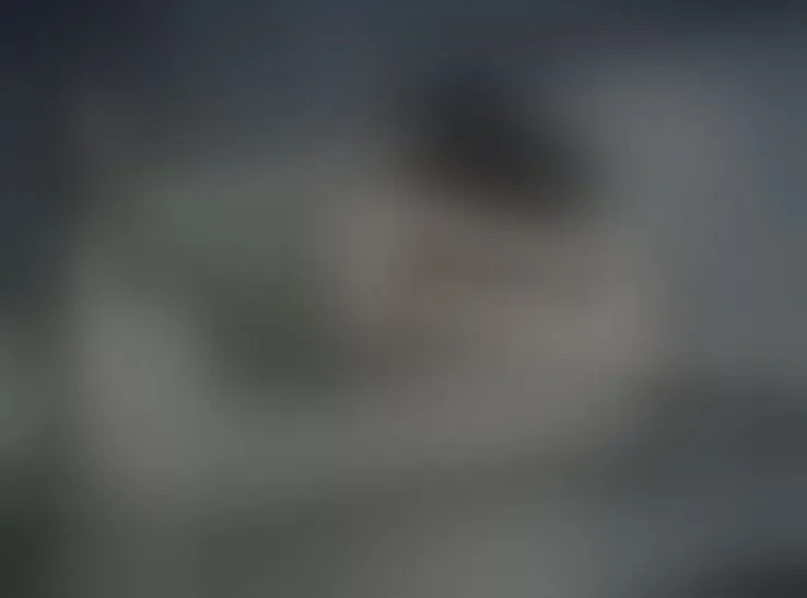 Live sex webcam photo for ZoeHillss111 #8317271