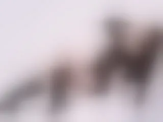 Live sex webcam photo for AuraClark #8374924