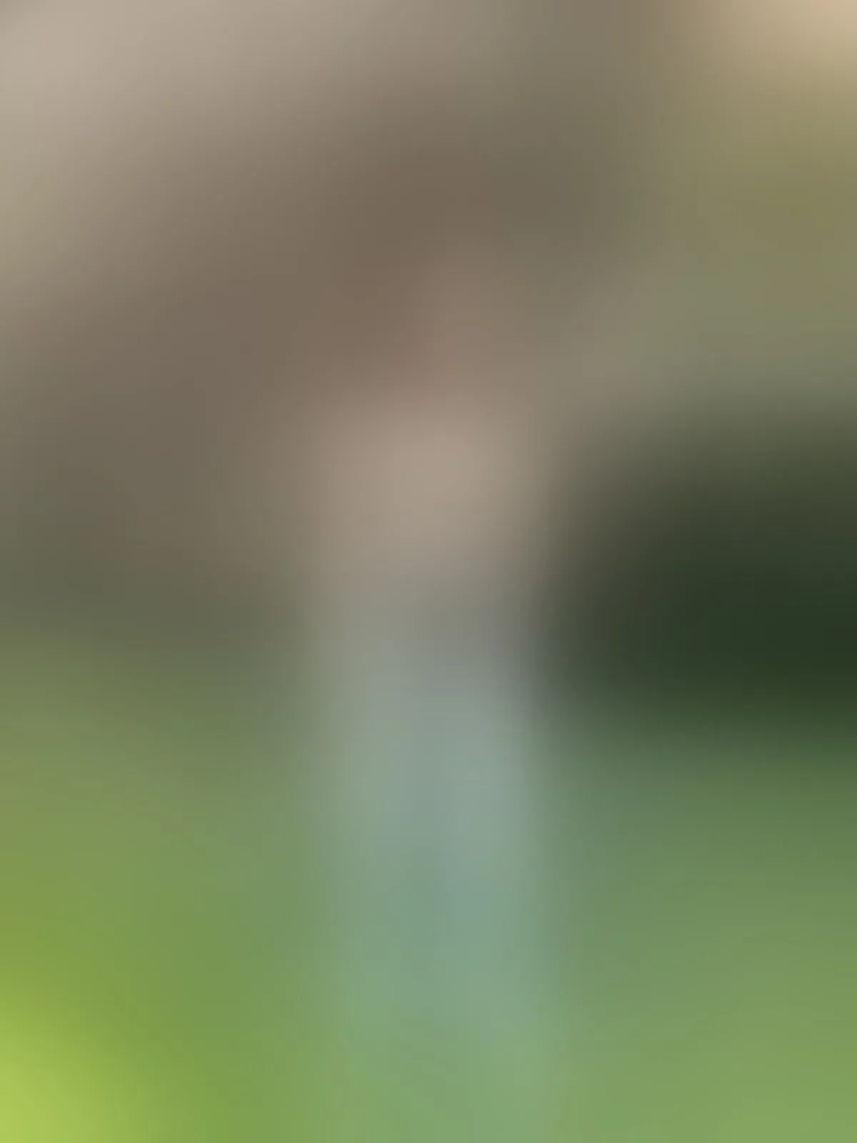 Live sex webcam photo for ambarSmiitth #8341850