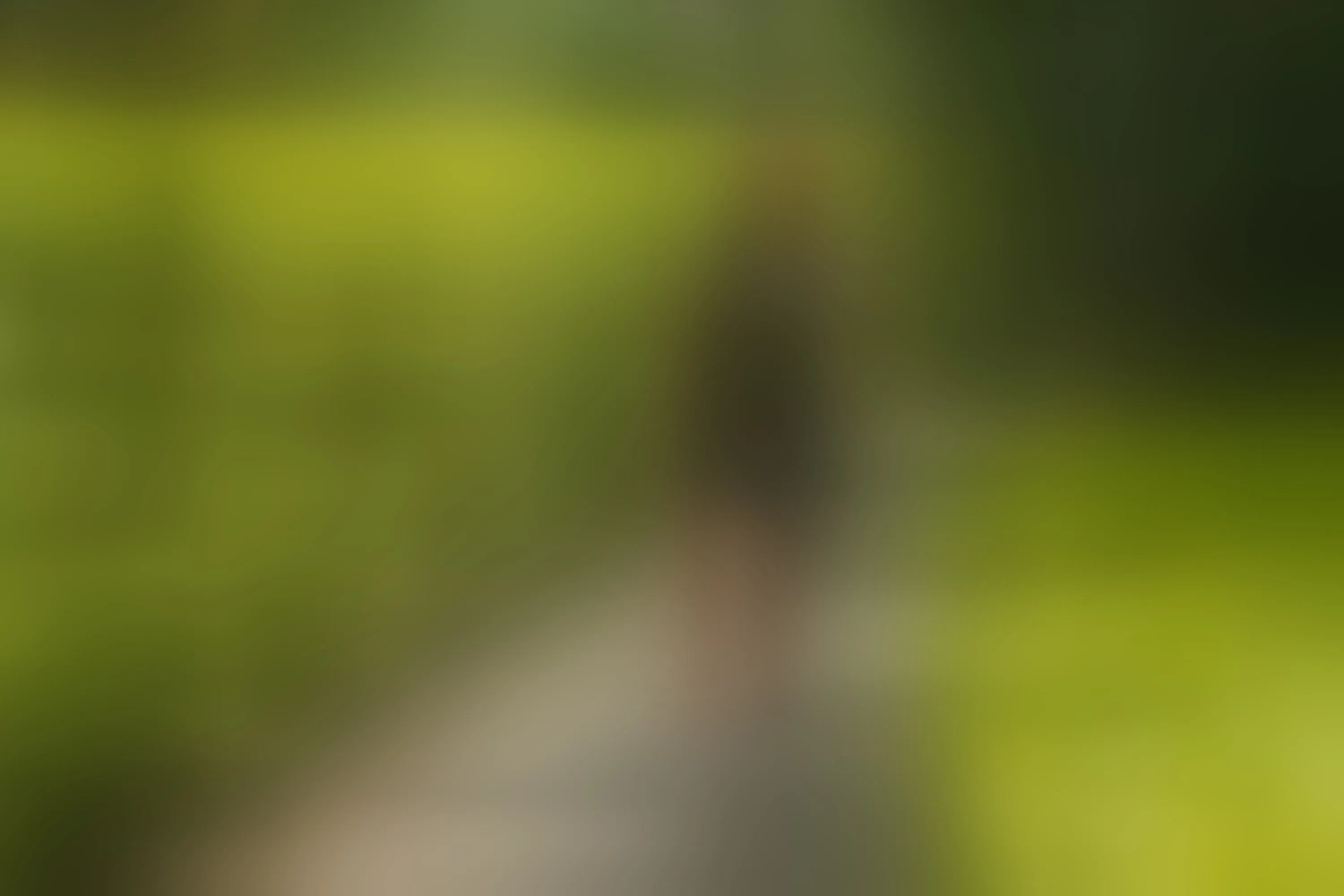 Live sex webcam photo for ambarSmiitth #8452724