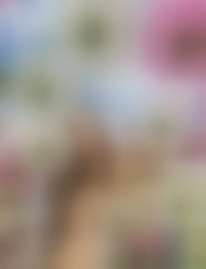 Live sex webcam photo for KylieV #8372201