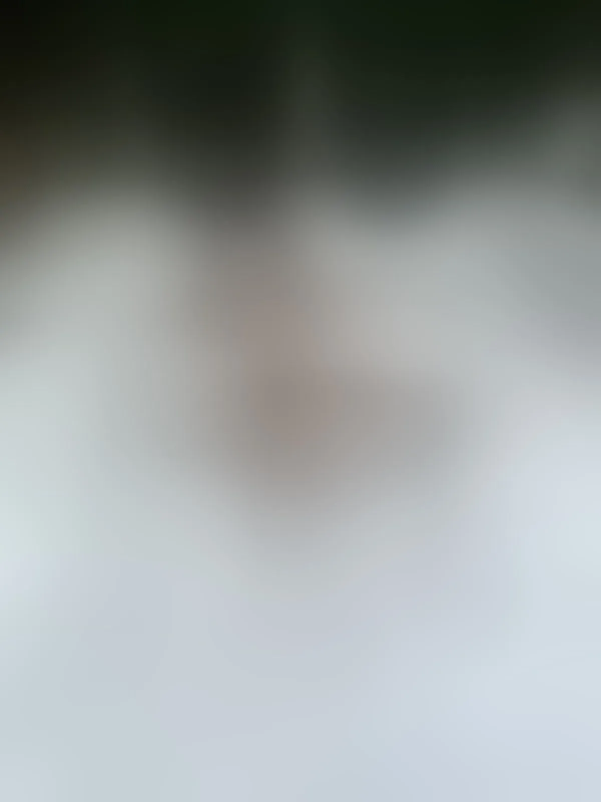Live sex webcam photo for AlisBella #8449308