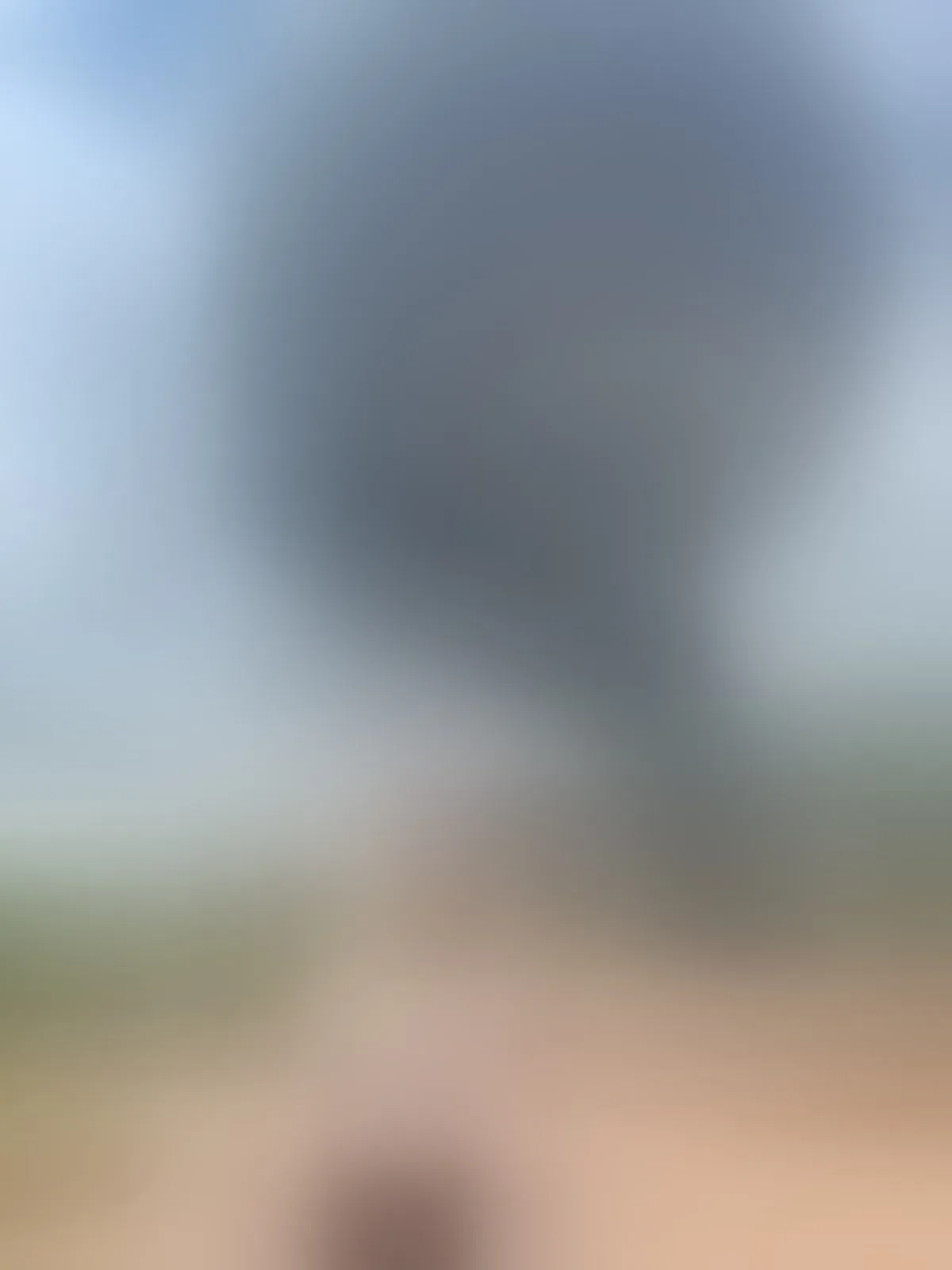 Live sex webcam photo for CharlottMorit #8493085