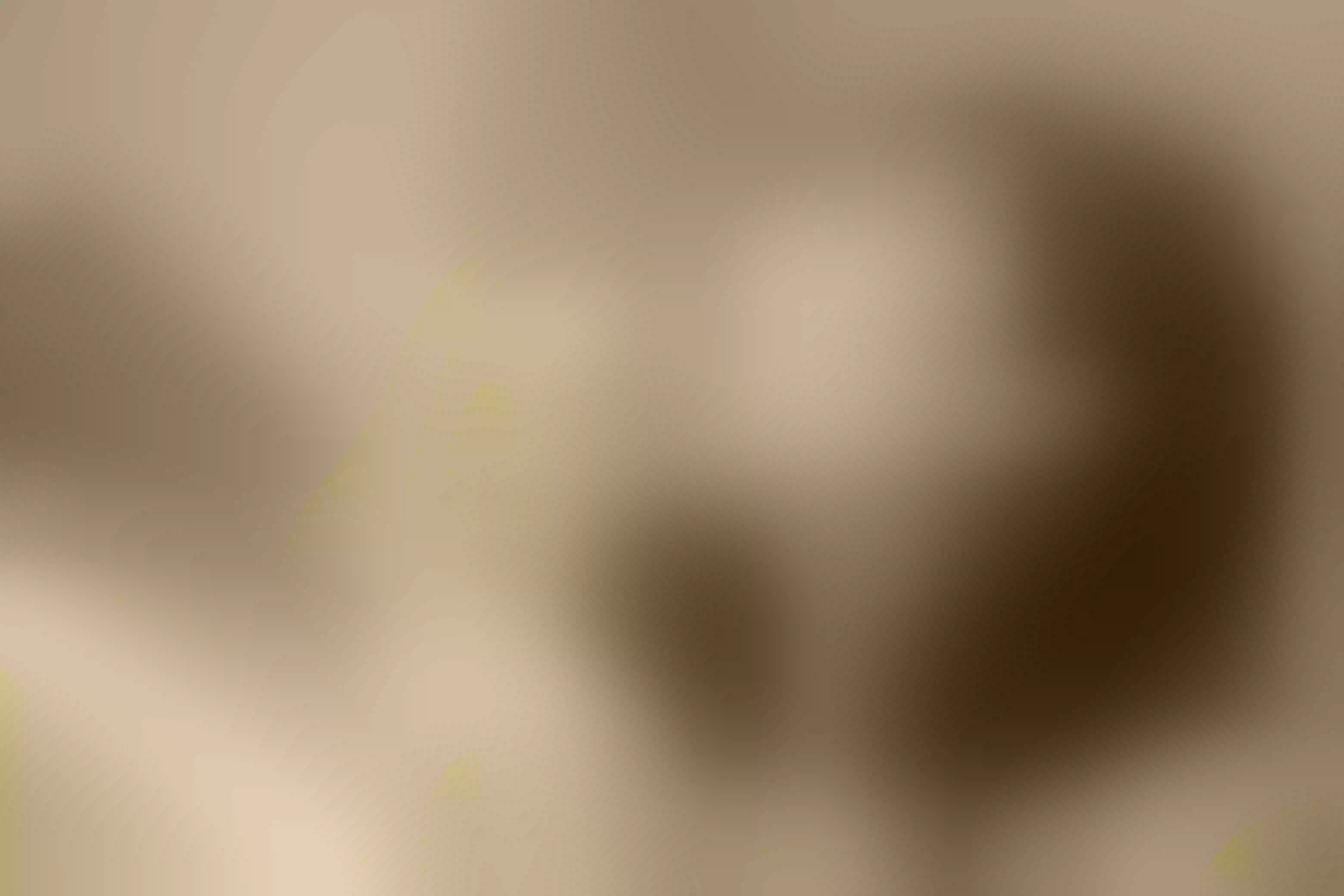 Live sex webcam photo for catadilucas #8514407