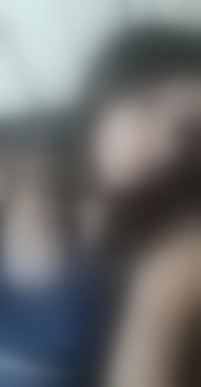 Live sex webcam photo for ariavalless #8471616