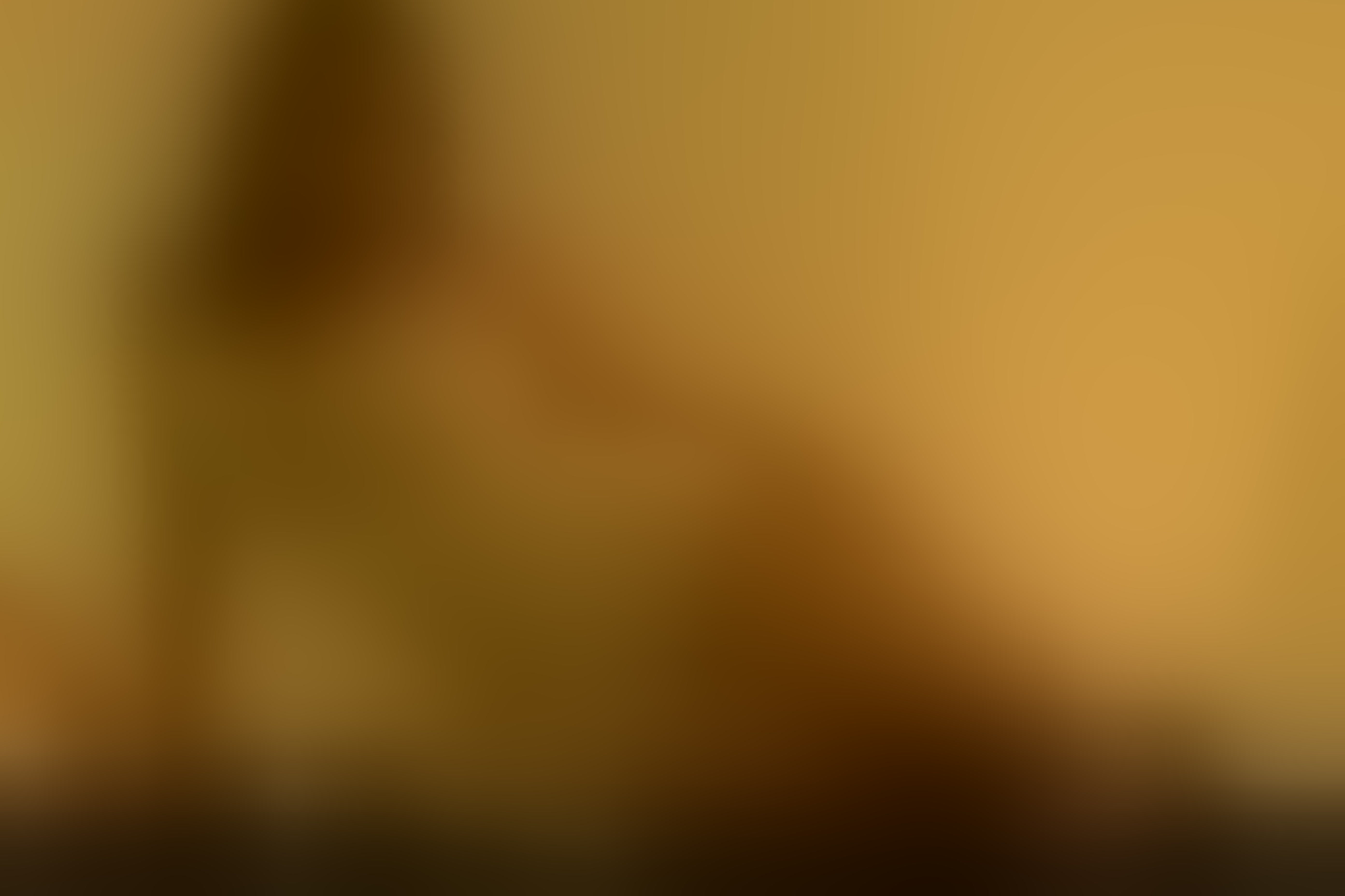Live sex webcam photo for ZaraBlazze #8506072