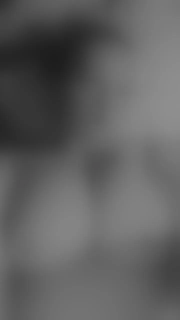 Live sex webcam photo for VELVETDesires #8524127