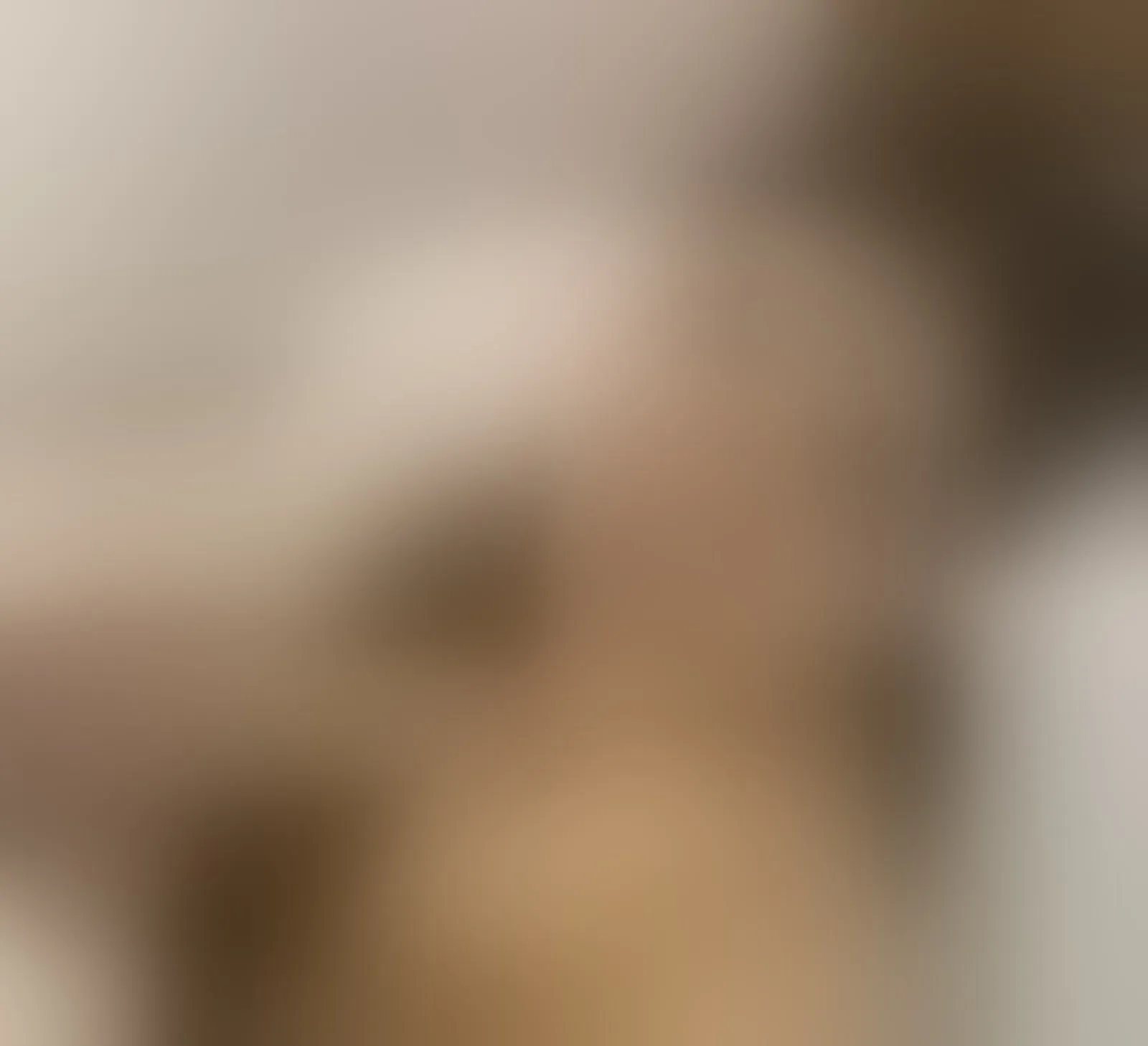 Live sex webcam photo for Sofiiabloomm #8543583