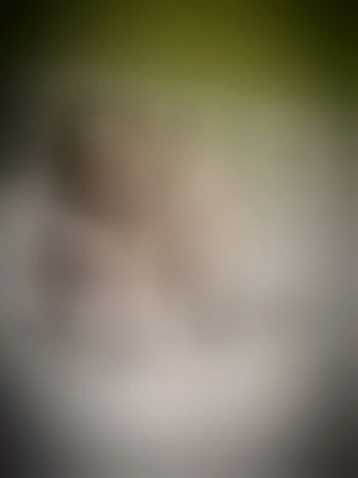 Live sex webcam photo for Sofiiabloomm #8569307