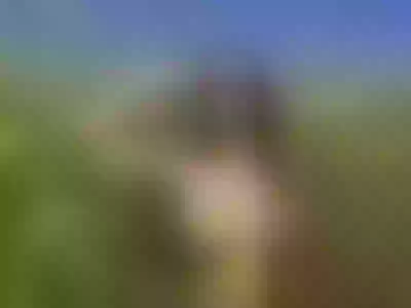 Live sex webcam photo for moonshine #7213565