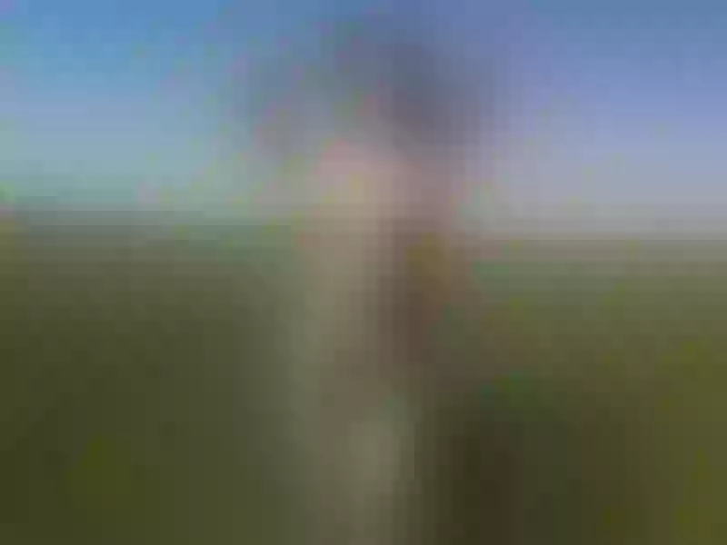 Live sex webcam photo for moonshine #7213531