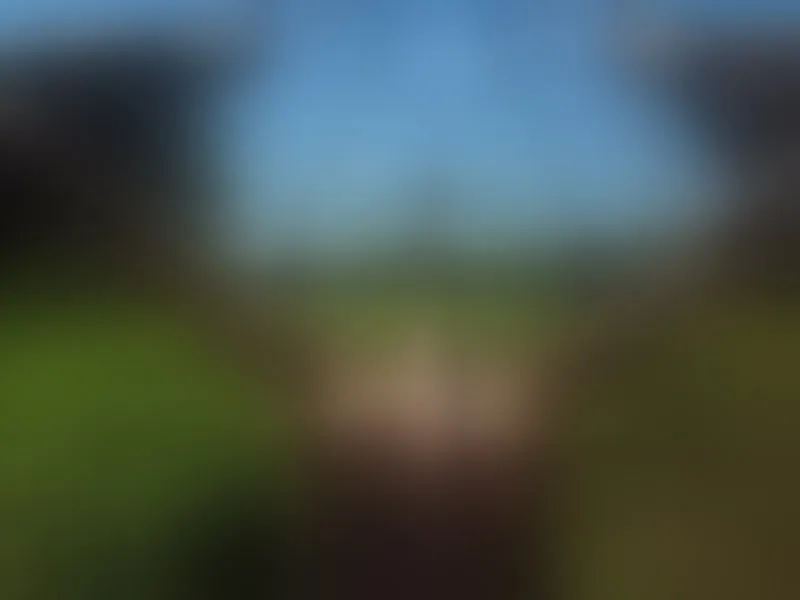 Live sex webcam photo for moonshine #7213563