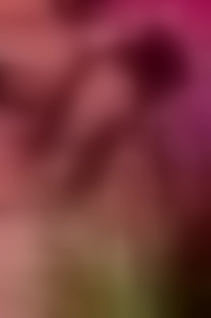 Live sex webcam photo for AuroraChann #8684858