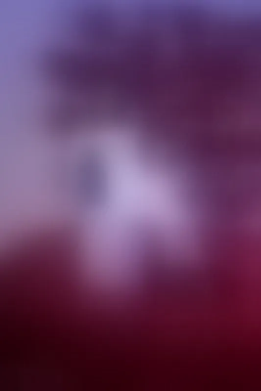 Live sex webcam photo for Hanna_Hall #8554375