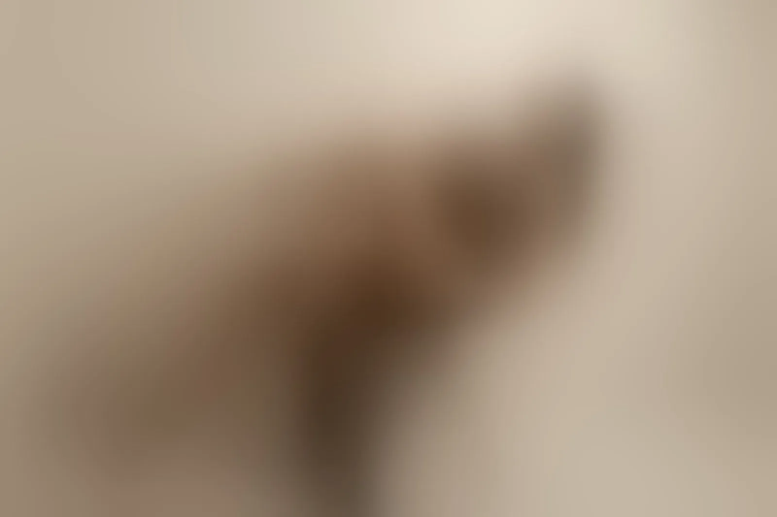 Live sex webcam photo for AlanaGrecco #8573352