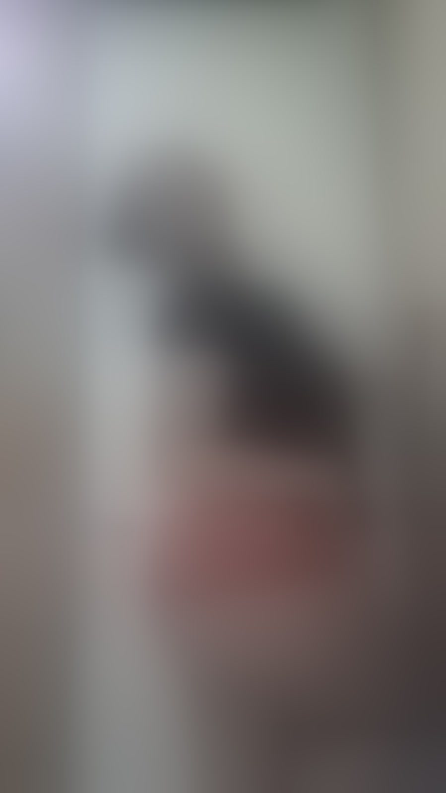 Live sex webcam photo for PersefoneSnow #8648516