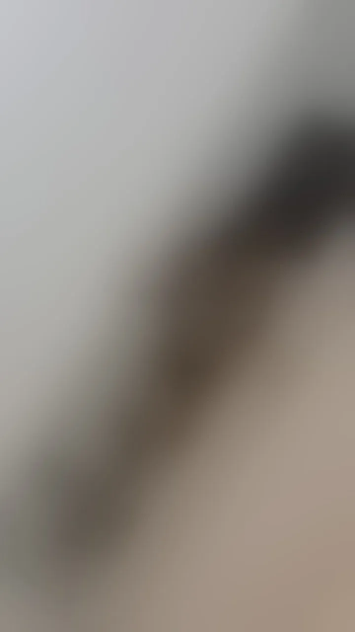 Live sex webcam photo for KassieNoir #8717320