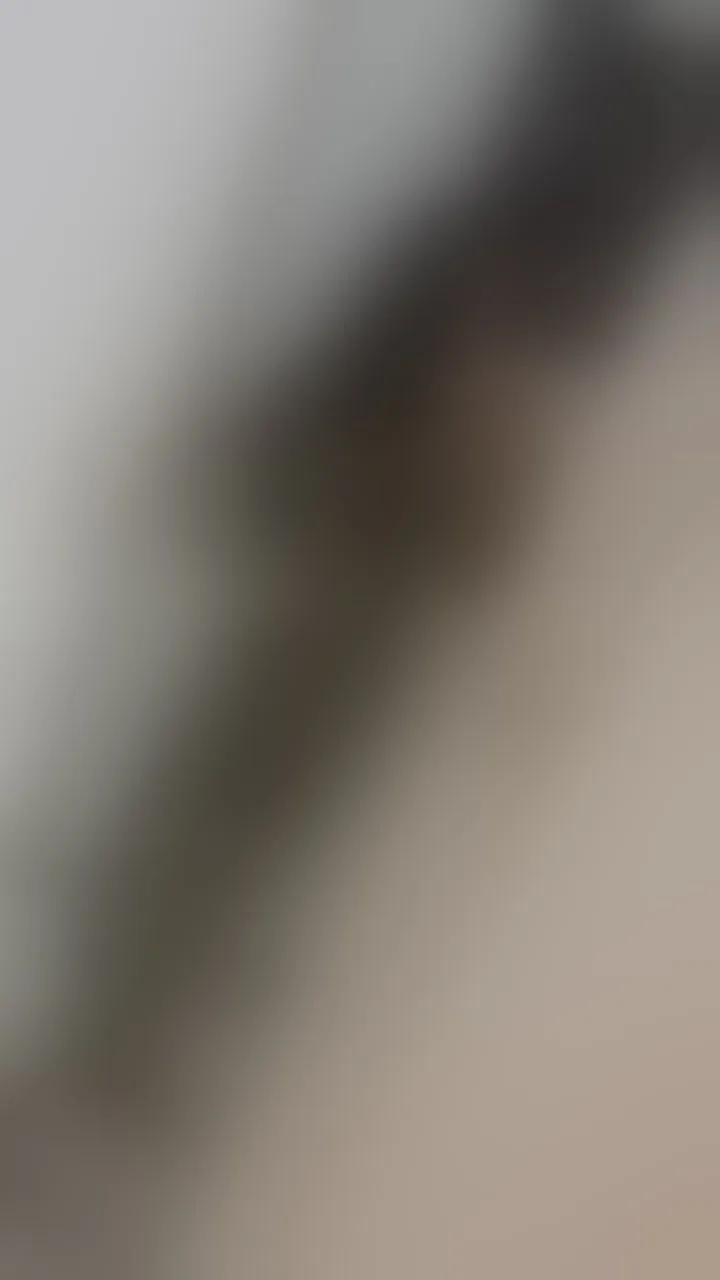 Live sex webcam photo for KassieNoir #8717324