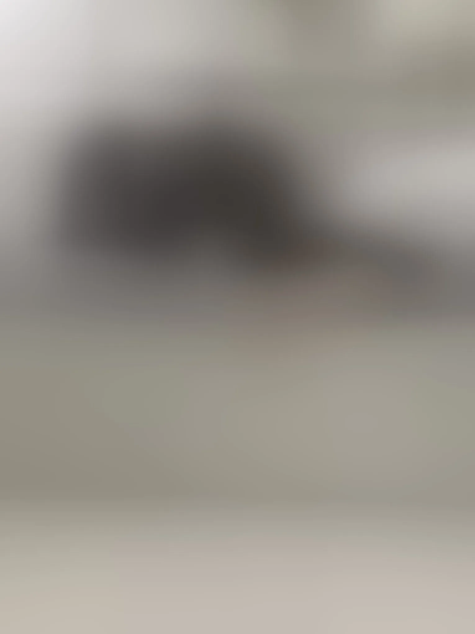 Live sex webcam photo for KathyDion #8641264