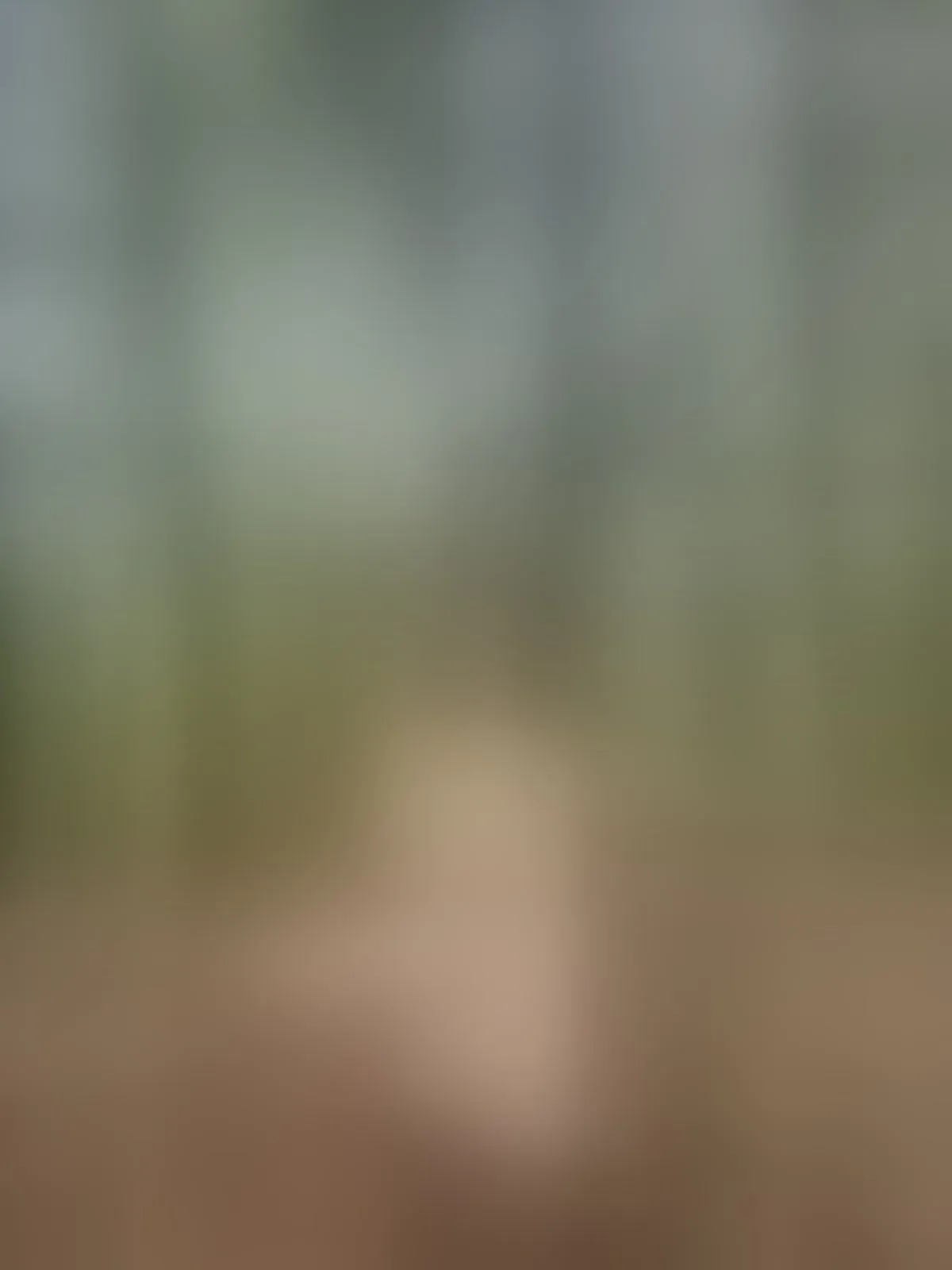 Live sex webcam photo for AlaskaBluue #8633239