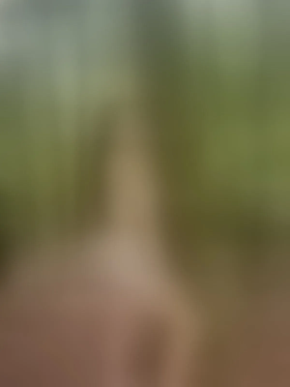 Live sex webcam photo for AlaskaBluue #8633246