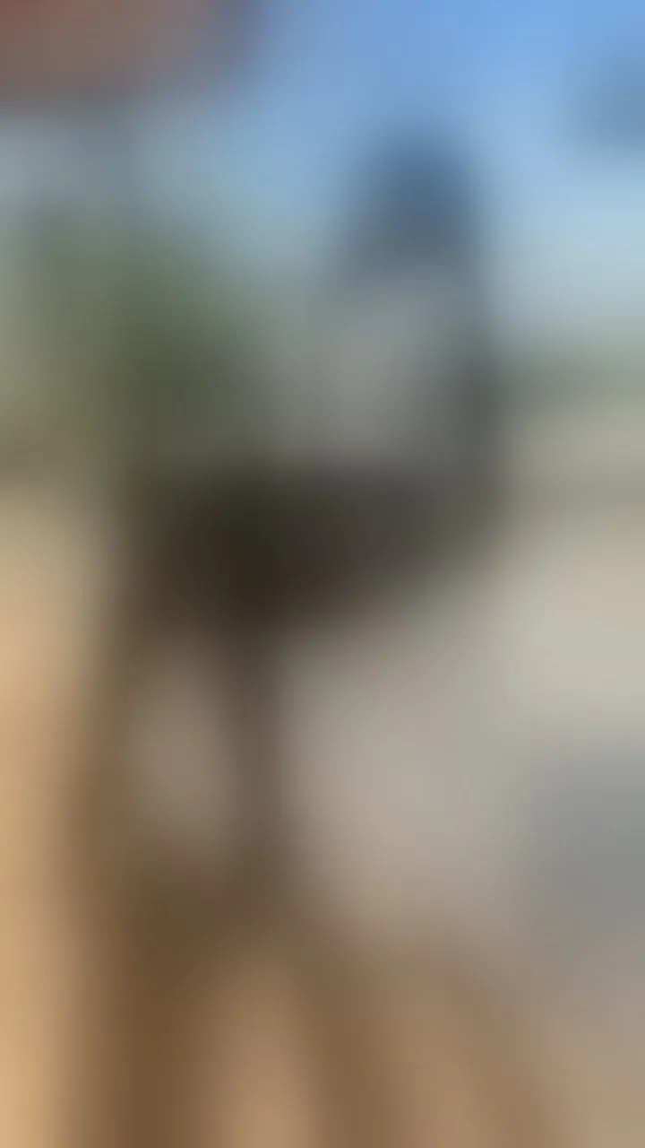 Live sex webcam photo for SoffieDuran #8654005