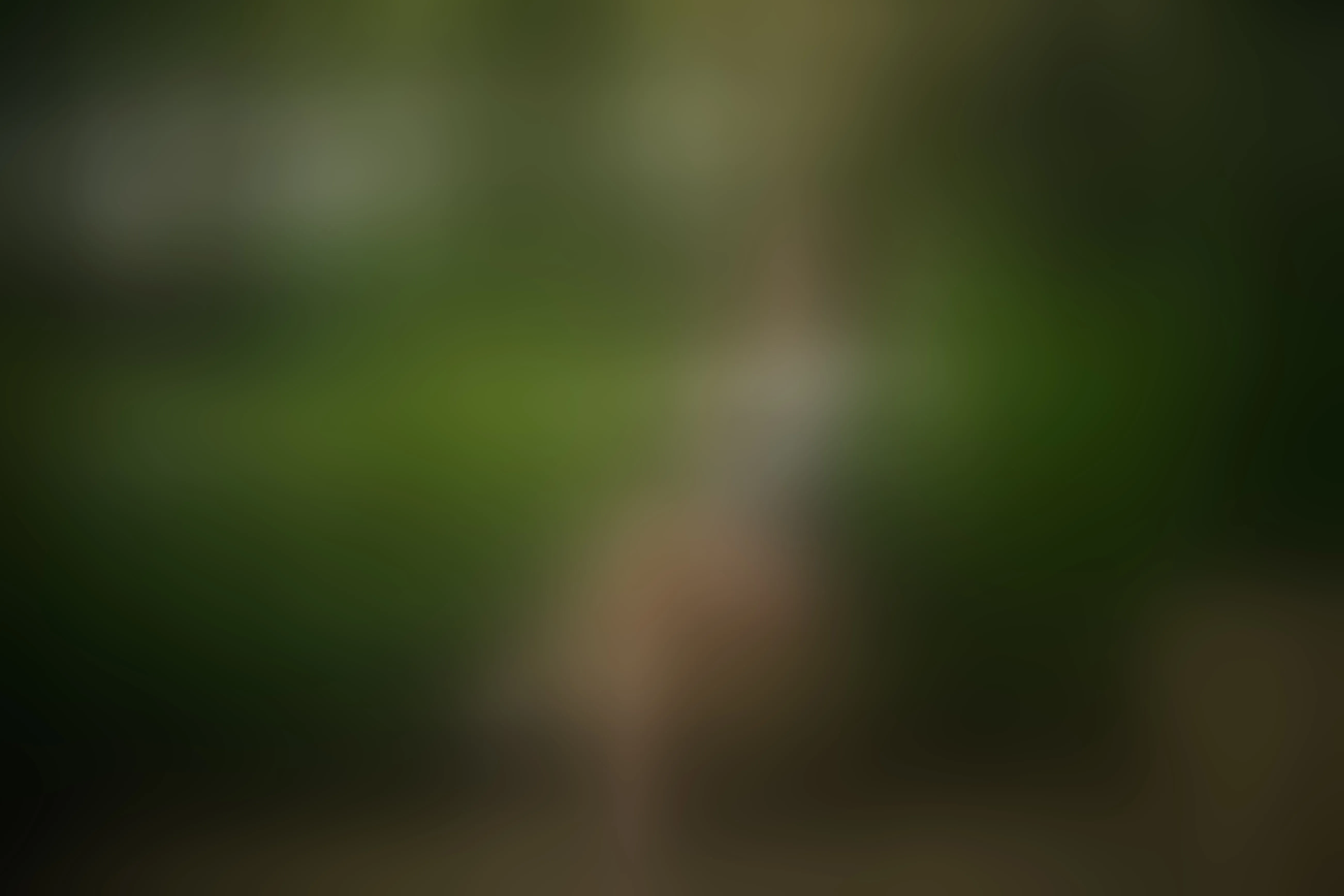 Live sex webcam photo for CelesteVoss #8655868