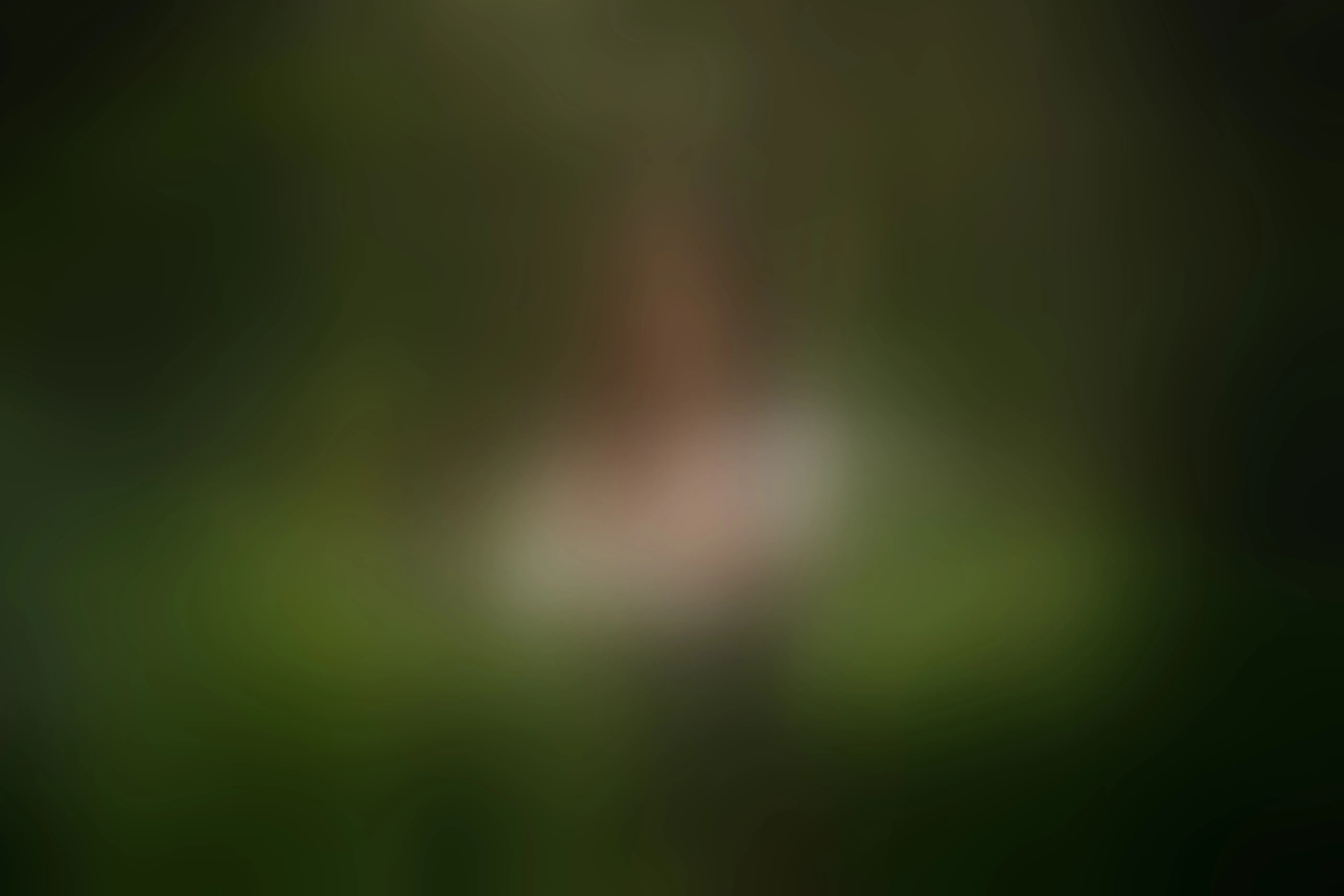 Live sex webcam photo for CelesteVoss #8655866