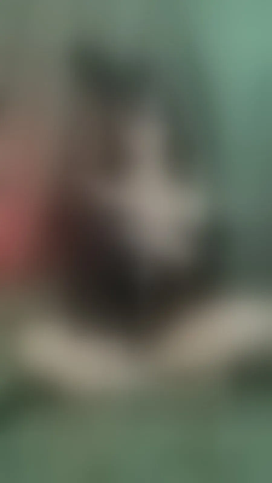 Live sex webcam photo for VanessaRouge #8639396